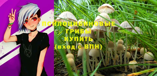кристаллы Карпинск
