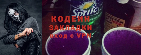 хмурый Касимов