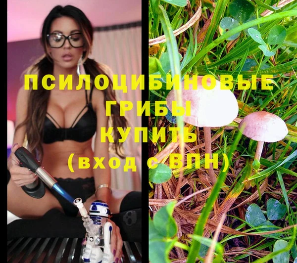 скорость Карталы