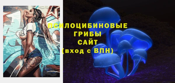 хмурый Касимов